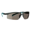 Gray Lens  Gray/Teal Frame